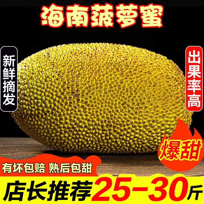 禧友鲜海南菠萝蜜整个 黄肉干苞 波罗密 大树木菠萝 三亚当季新鲜水果 25-30斤|推荐大果 果多肉厚