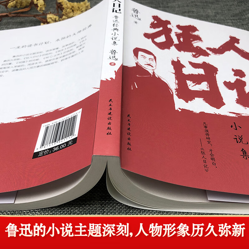 【严选】狂人日记 鲁迅小说全集 语文课本经典名著文学 狂人+朝花