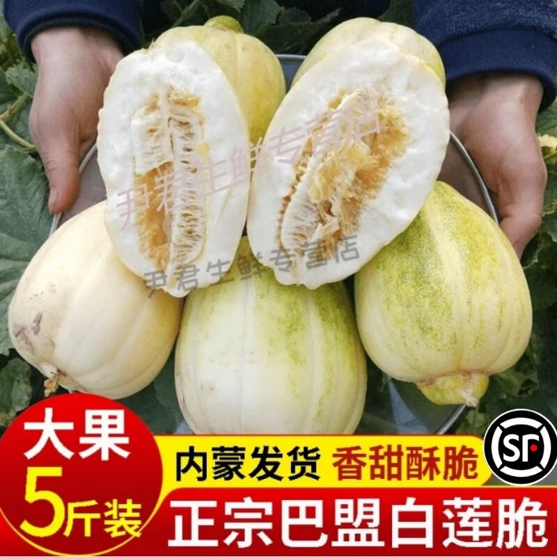 内蒙巴盟香瓜【五原特产白莲脆】白梨脆瓜新鲜当季水果白糖罐大果 5斤