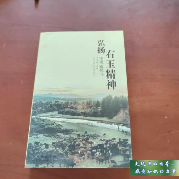 二手书八新 弘扬右玉精神 姚焕斗 主编 山西经济出版社 标准