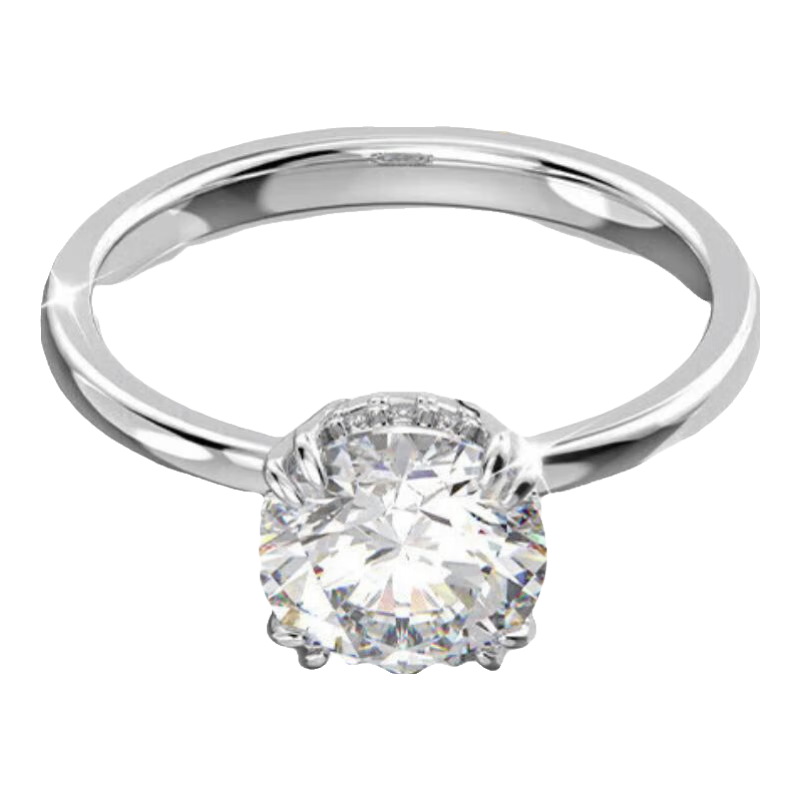 ʩ STILLA ǹ ָŮ Ůĸ׽555638529