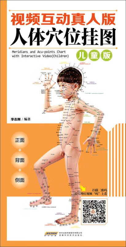 视频互动真人版人体穴位挂图 儿童版(正面 侧面 背面三张挂图 防水 耐