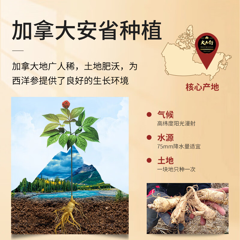 大山行西洋参片 加拿大原产进口 特级足龄5年花旗参人参皂苷 三伏天养生 80g袋装(自用推荐) GD#3
