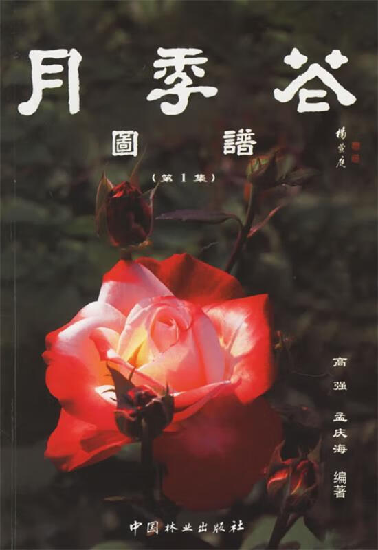 月季花图谱