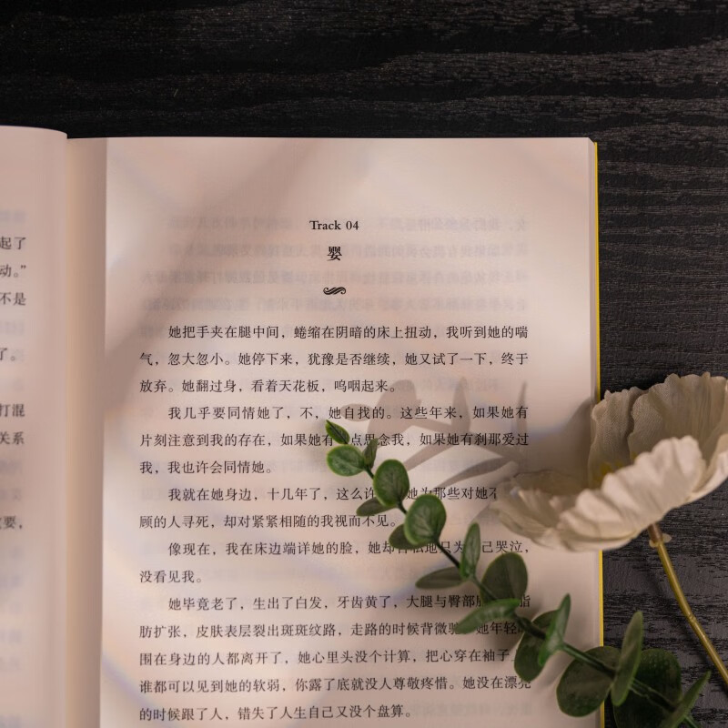 【旗舰店正版】老派约会之必要 简体中文版 24个故事12首小诗20篇随笔 精准剖析都市男女的贪嗔痴 充满治愈力量台湾文学小说集
