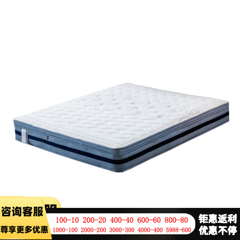 爱美穗 棕垫环保椰棕床垫棕榈软棕1.2 1.5米单人双人1.