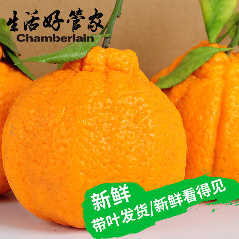 生活＆好管家四川不知火丑橘新鲜水果丑八怪丑柑应季橘子整箱柑橘应季水果 8.5-9斤【果径65-75mm】净重8斤