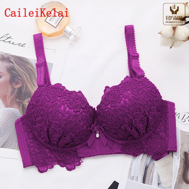 刺绣小胸乳罩聚拢型收副乳小胸少女内衣零束缚文胸套装 3316紫色单件