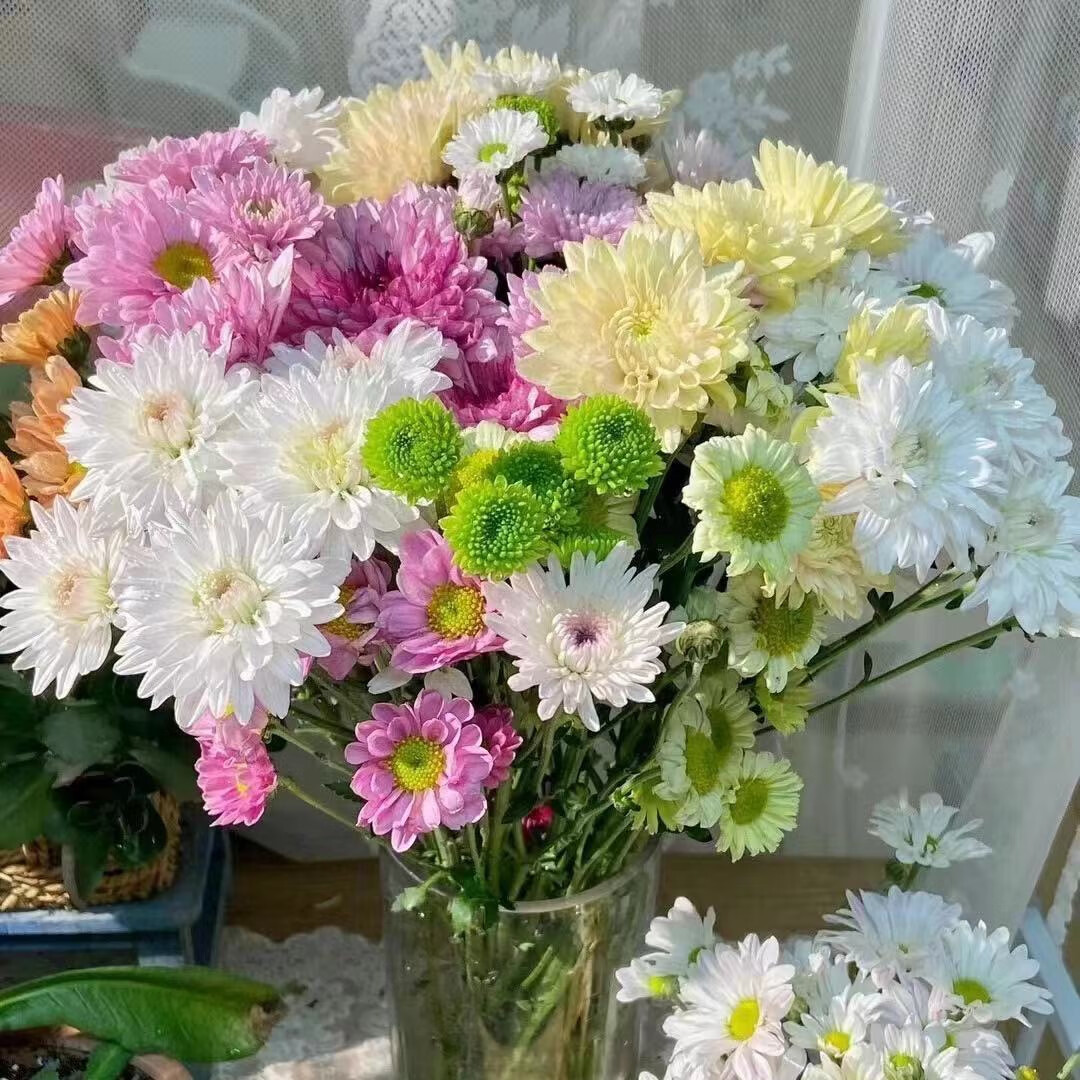 云南基地直发混色小雏菊混搭鲜花直批包邮一扎速递插花家庭装室内