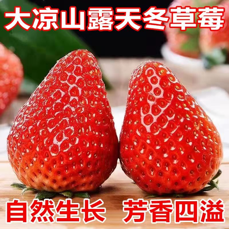 商品详情 商品详情