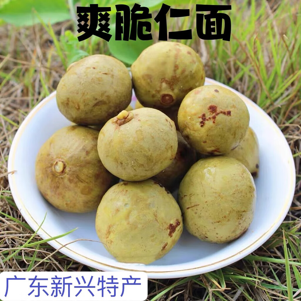 隽颜堂新兴特产爽脆酸辣湿仁面果人面果银链果童年回忆休闲零食袋装