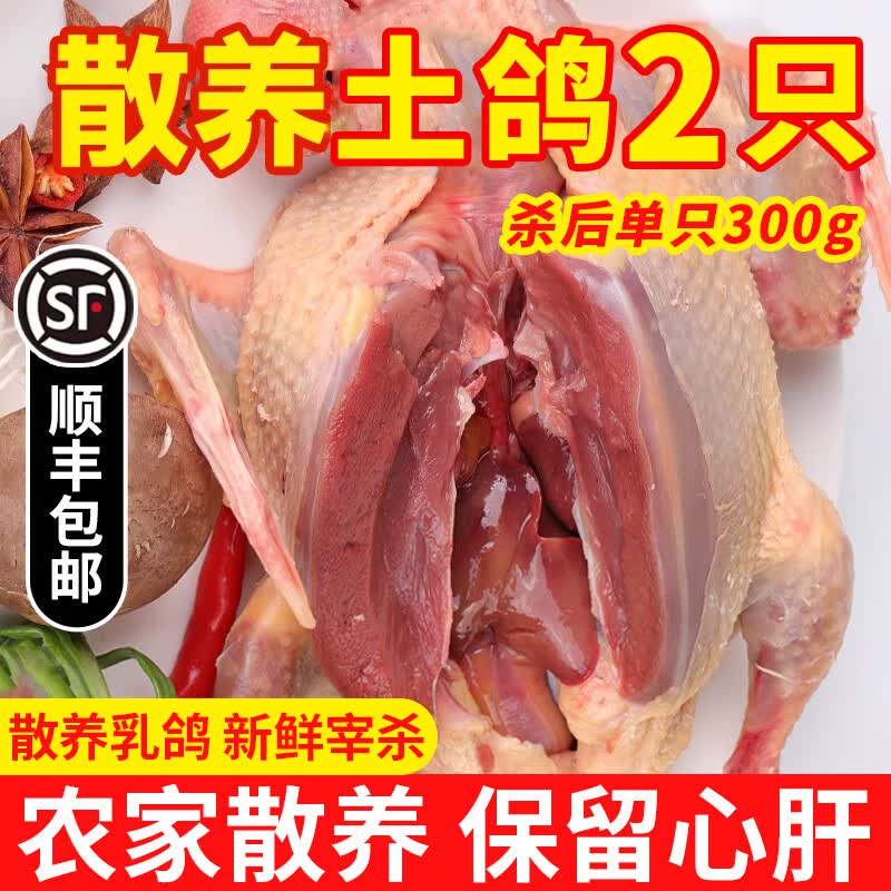 岽鲜 新鲜鸽子肉 新鲜冷冻农家老鸽子土鸽 煲汤烧烤食材 乳鸽生鲜 鸽子2只（每只净300g）