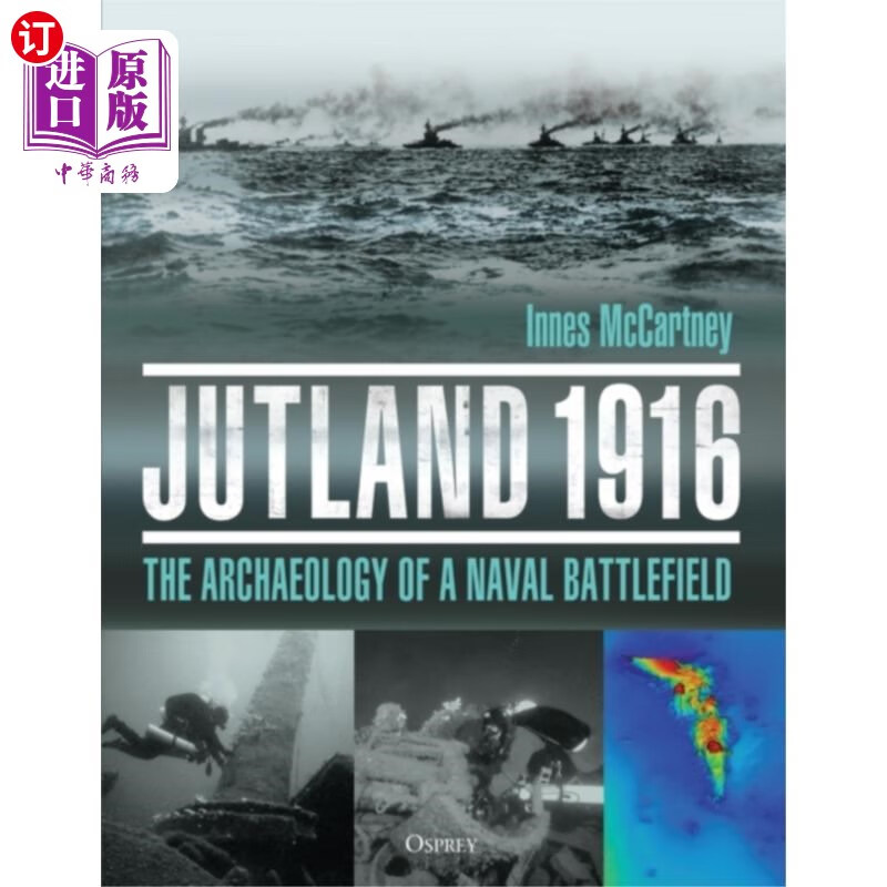海外直订jutland 1916 日德兰半岛1916