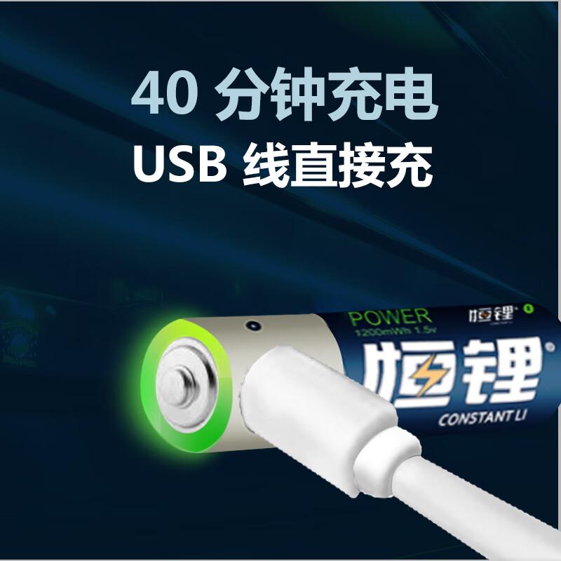 恒锂 CONSTANT LI恒锂1200mwh可充电锂电池type-c接口充电电池套装USB充电电池 【6节】1200mwh（线+盒+头）