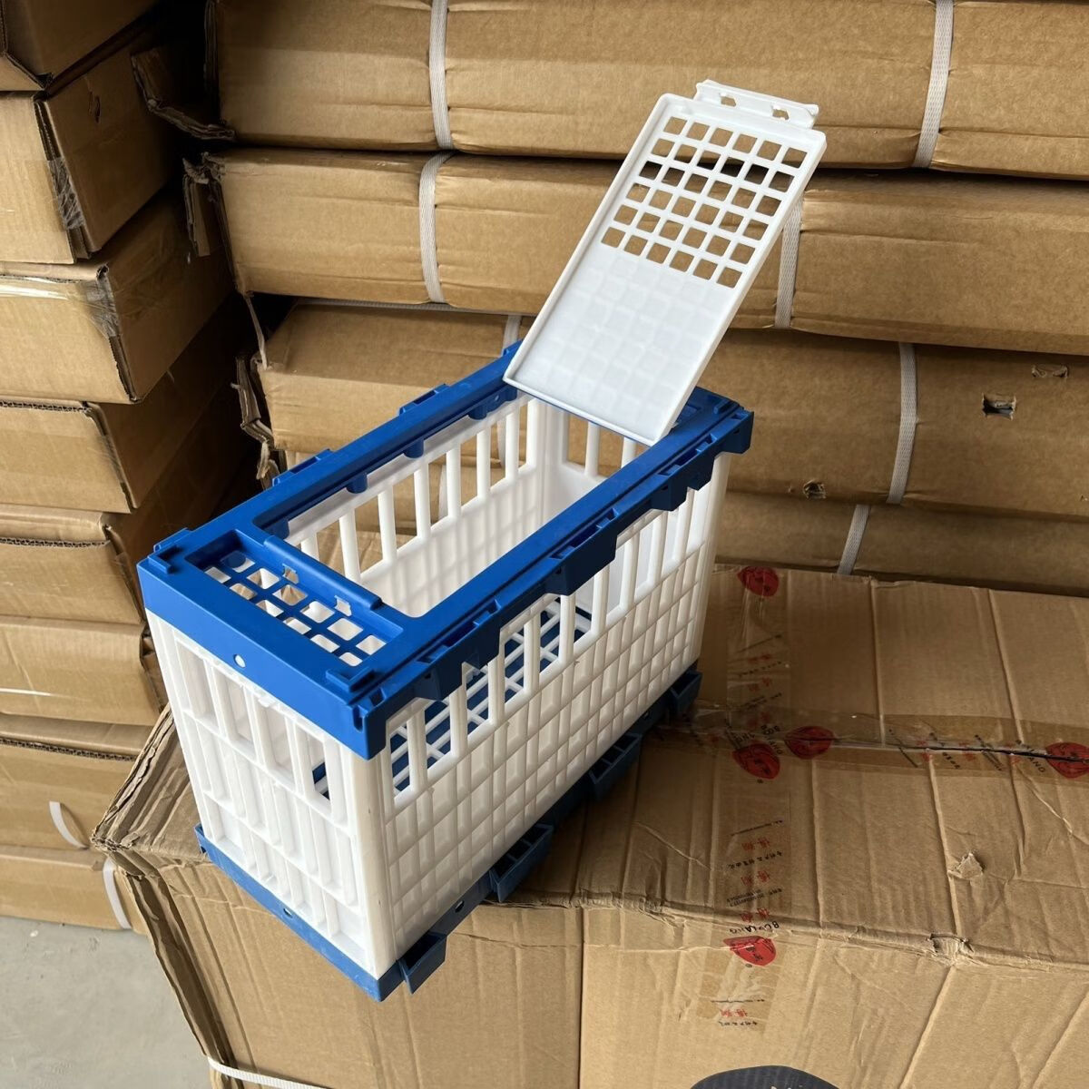 新宠之康信鸽赛鸽用品用具鸽子笼塑料放飞笼训放笼报道笼集鸽笼训鸽笼