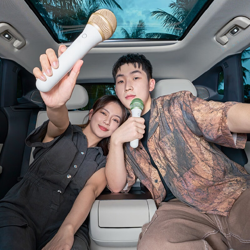 领克车载麦克风 无线话筒双支含收纳包小巧便携适配领克07领克08 领克08EM-P(24/25款)