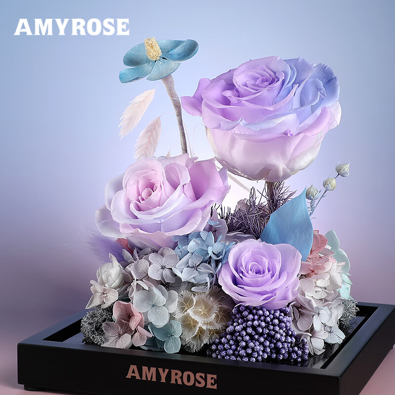 AMYROSE永生花礼盒绽放的玫瑰情人节教师节礼物生日礼物送爱人女友闺 绽放的玫瑰（极光紫）