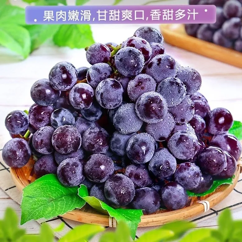 藤稔巨峰葡萄新鲜采摘当季酸甜水果非夏黑藤稔 4斤