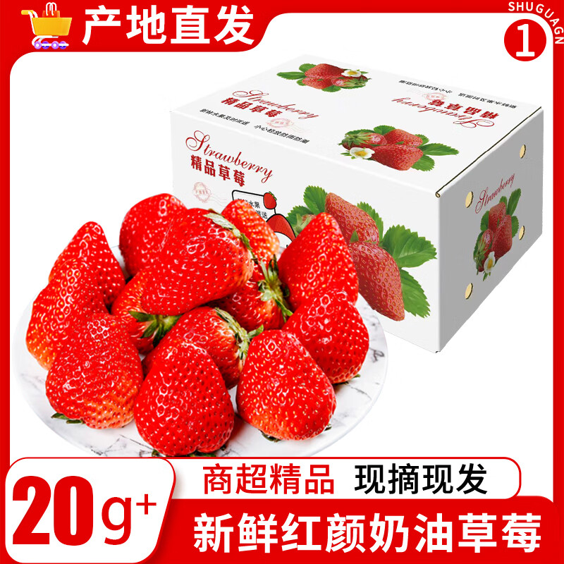 沙窝曙光大凉山草莓99红颜草莓奶油草莓应季时令新鲜水果生鲜 爆卖4盒中大果彩箱装