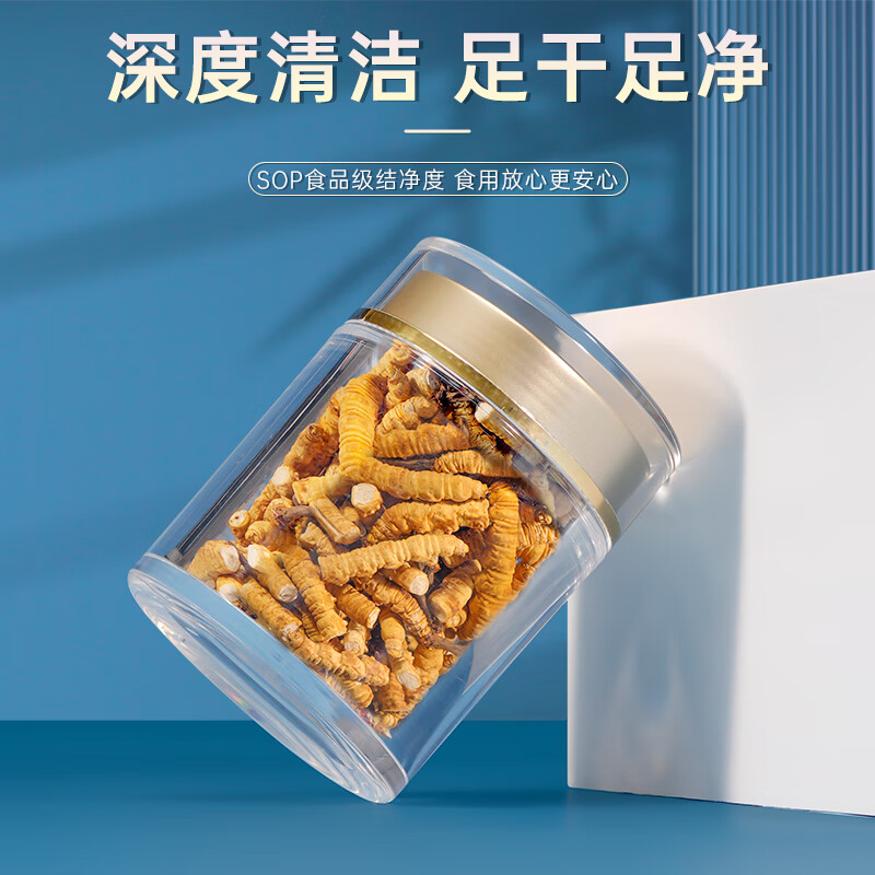 藏汐堂冬虫夏草 高海拔新干断草  送长辈礼物 实惠滋补营养品 大号断草 10g*1盒 【送养生杯】