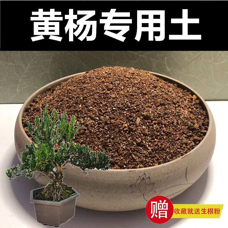 苏趣利黄杨专用土营养土颗粒土种植土风化土红沙土酸性盆景土 天然沙质红土5.6斤