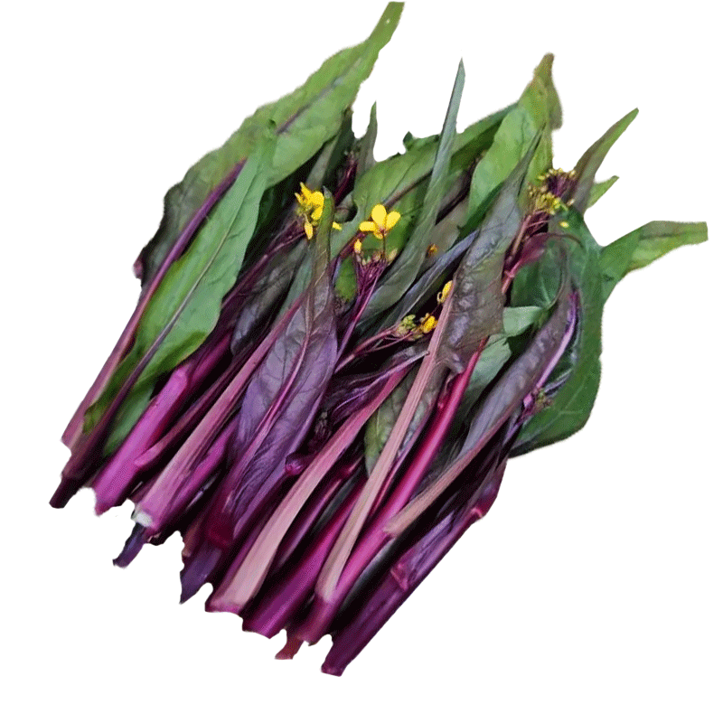 京觅湖北地标洪山菜苔 净重3斤 打霜青菜 新鲜蔬菜 源头直发