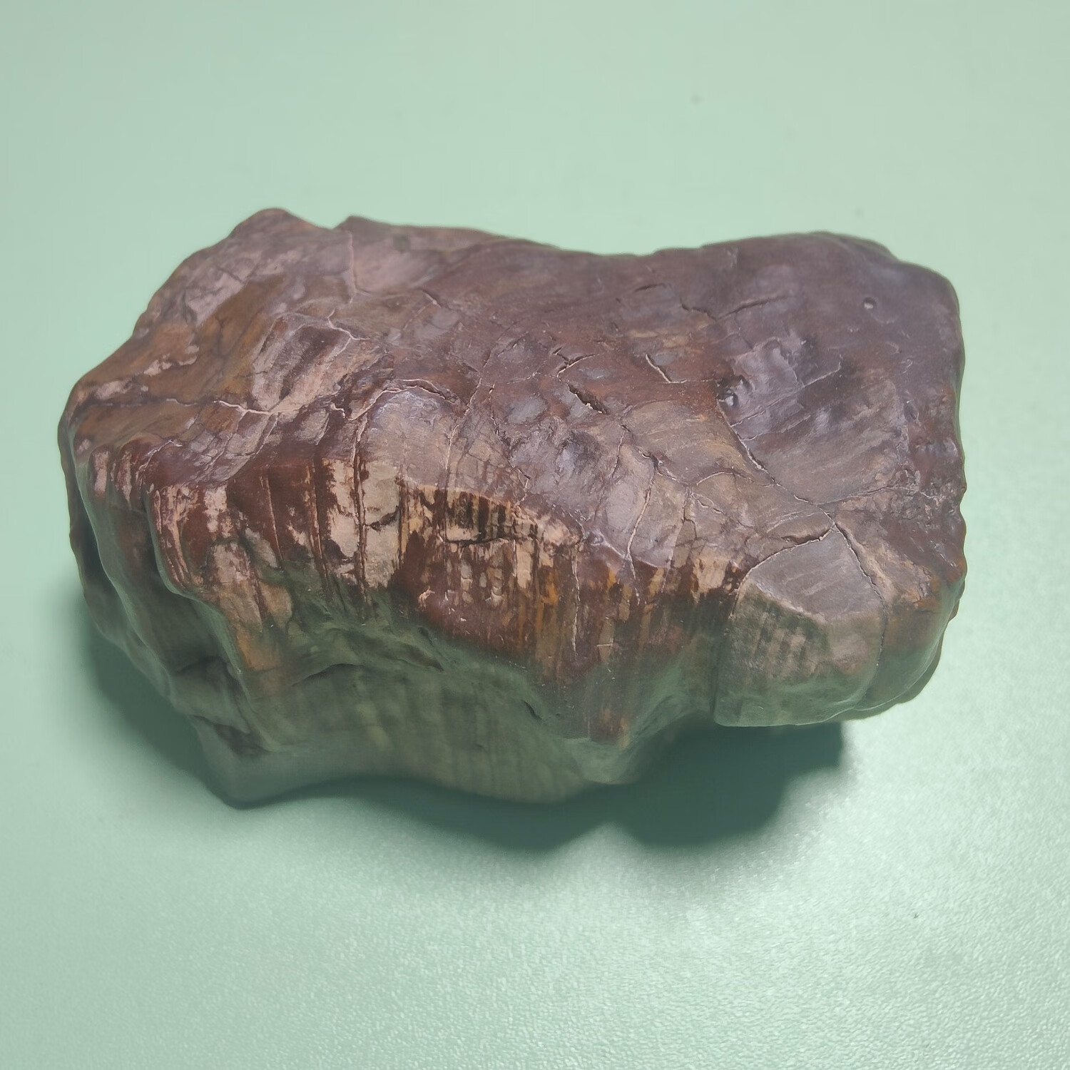 小精品,自捡新疆哈密木化石,天然木纹颜色,纹理清晰