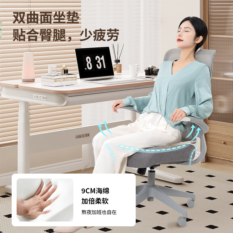 乐歌（Loctek）人体工学椅电脑办公椅子家用老板靠背转椅电竞椅 Y21人体工学椅云母灰