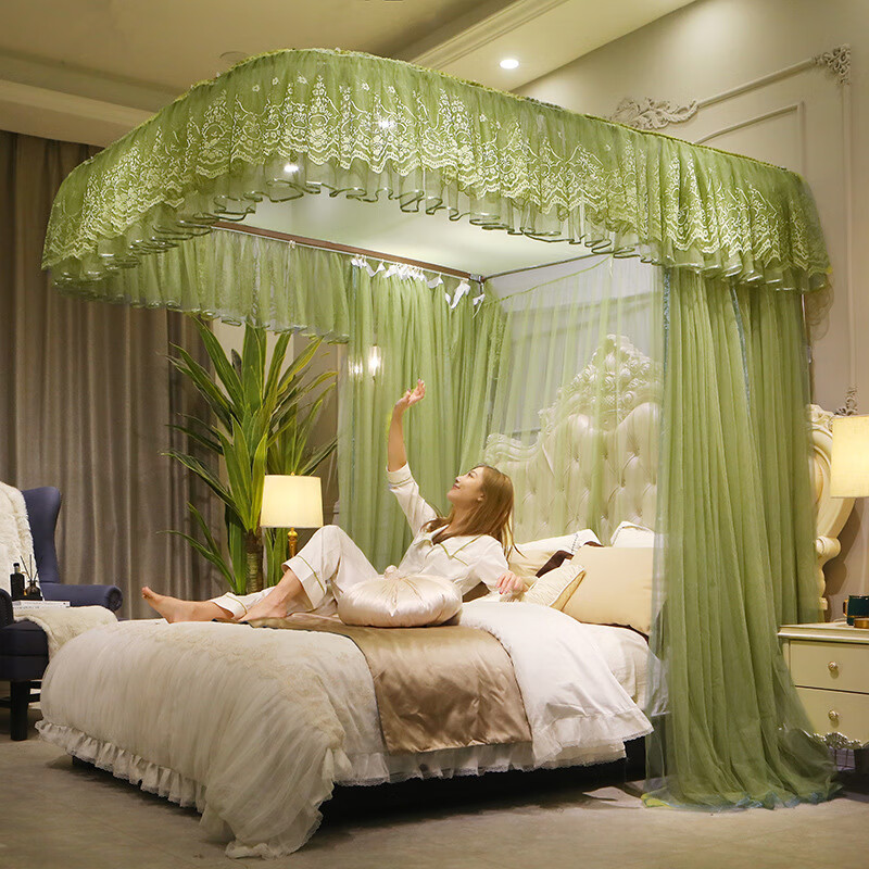 艺彩蝶蚊帐家用卧室2024新款u型轨道蕾丝边落地纹帐夏季家用双人防蚊