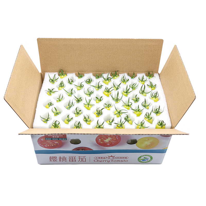 大理春沐源绿色樱桃小番茄生食礼盒脆甜多汁新鲜整箱串收新鲜 3斤装