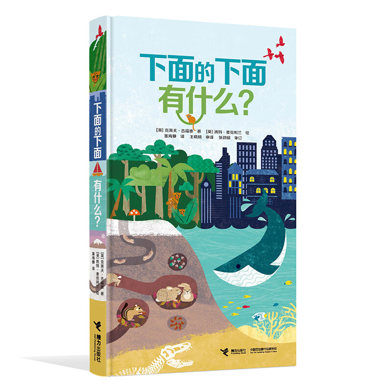 下面的下面有什么