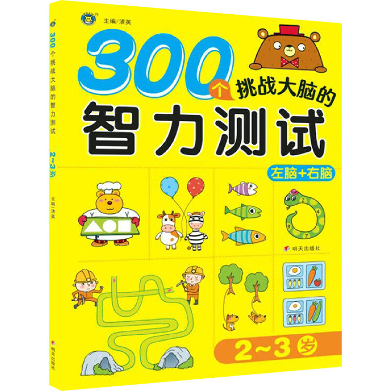300个挑战大脑的智力测试 2～3岁童书/智力开发清英 编9787570811748