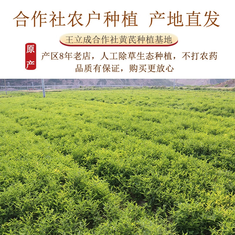 王立成 黄芪 黄芪片 甘肃精选主根无硫切片黄芪泡茶250克/袋 可搭配党参当归