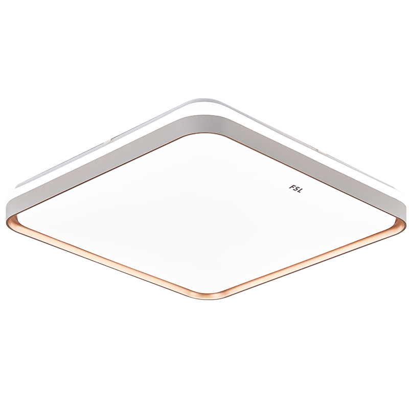 FSLɽƼԼִ鷿LED48Wϫ