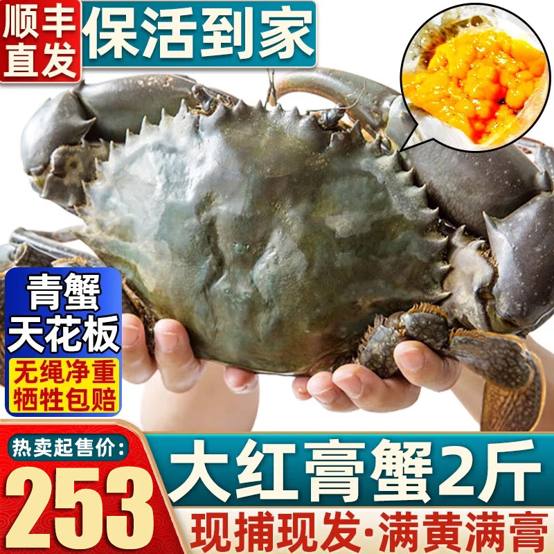 ڲз-ҡʻԽзʻззĸз з23-5ֻ컨з282Ԫ