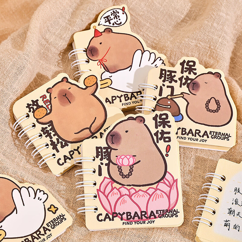 卡皮巴拉系列异型线圈本卡通可爱便携口袋小本子学生 水果豚莲花小豚