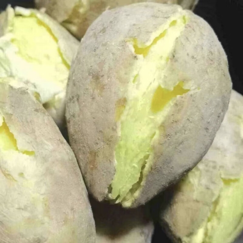 正宗潮汕农家耕种鸡蛋黄板栗红薯现挖现发鲜香甜粉糯白皮黄心地瓜 中果 带箱5.3斤