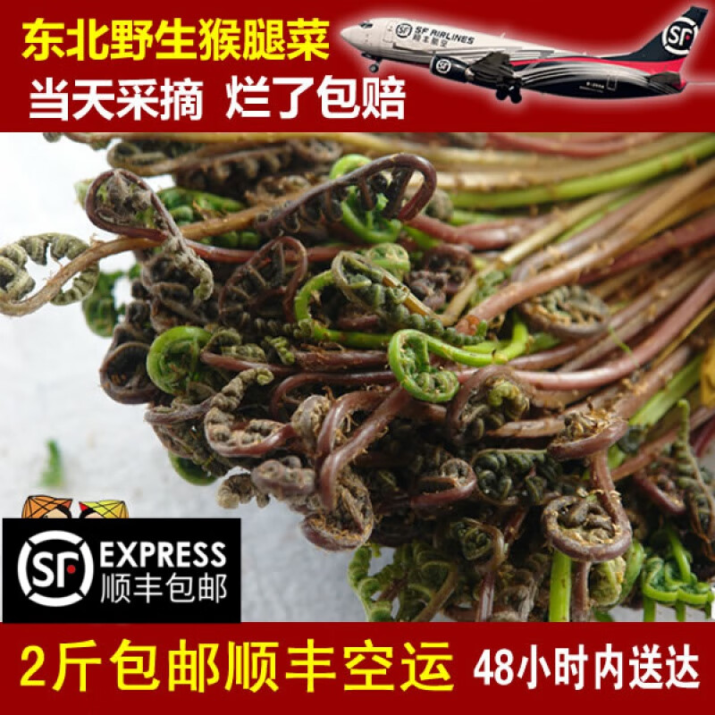 玫栀东北山菜新鲜猴腿菜山野菜500克顺丰 500g 现摘