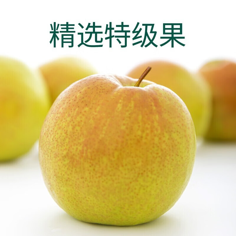 鲸咚亿农山西隰县玉露香梨 新鲜水果当季现摘时令水果中秋节礼盒 12枚 大果【75-80mm】