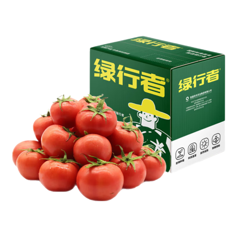 GREER 绿行者 小粉番茄5斤 源头直发水果沙瓤生吃西红柿新鲜蔬菜轻食酸甜多汁