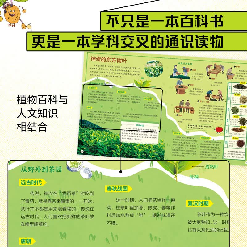 自然博物 中小学植物趣味百科课外阅读 图说天下博物地球精装版详情图