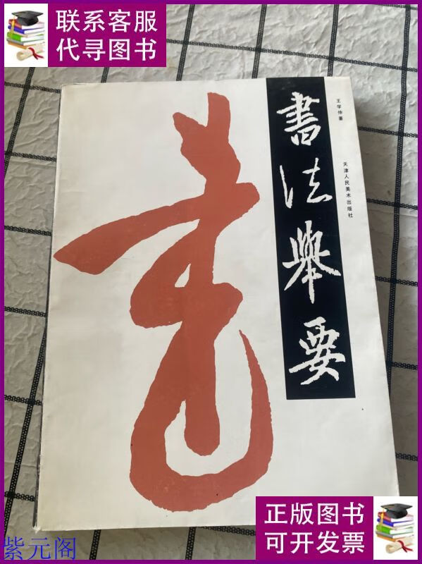 书法举要 天津人民美术出版社二手书