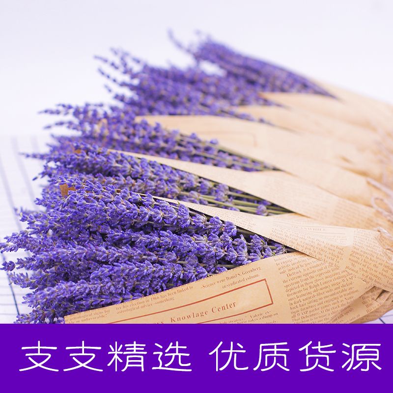 薰衣草干花花束真花客厅装饰插花摆件干花卧室餐桌摆设 100克 英国蓝