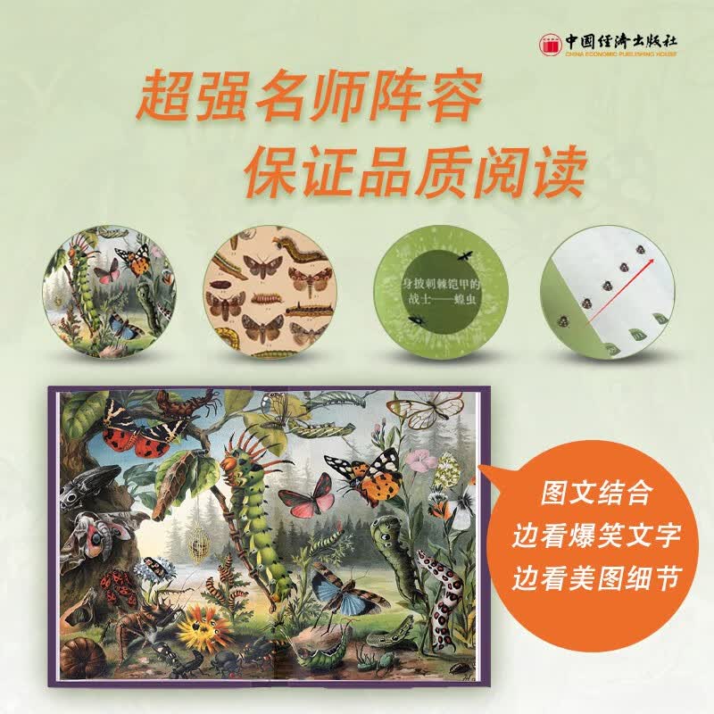 昆虫记（美绘精装版）暑假阅读暑假课外书课外暑假自主阅读暑期假期读物详情图