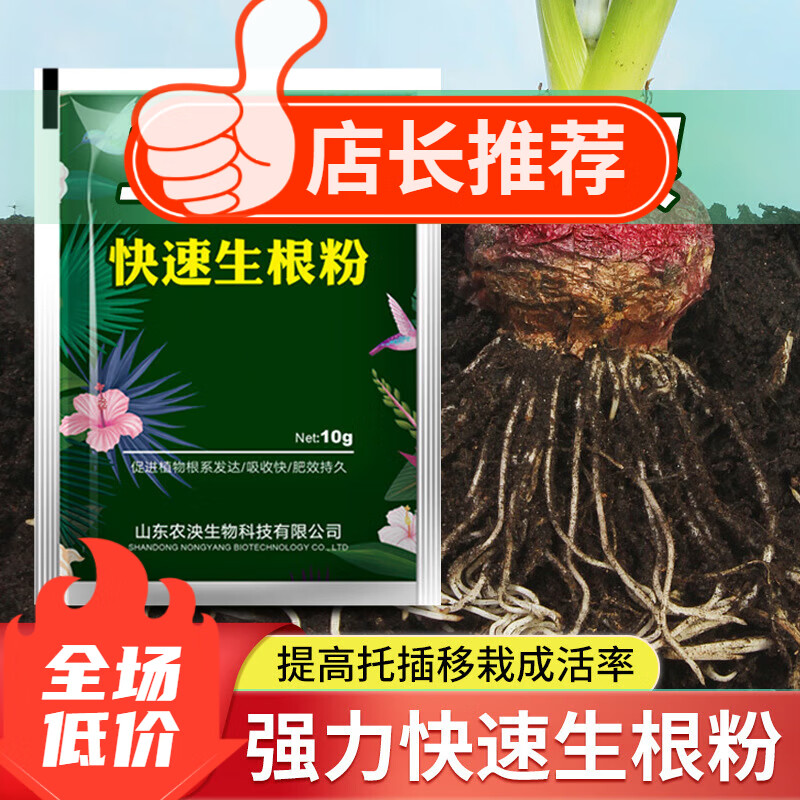 贝可施快速生根粉扦插育苗植物通用强力速效生根剂液树移栽发根粉 10g