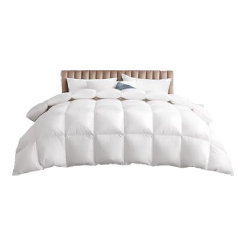 Դ 100%Ѽëëо ˫ﶬ 7 200*230cm ɫ