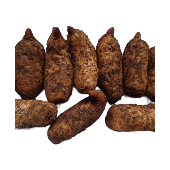 试吃小果半斤装6个左右小天麻