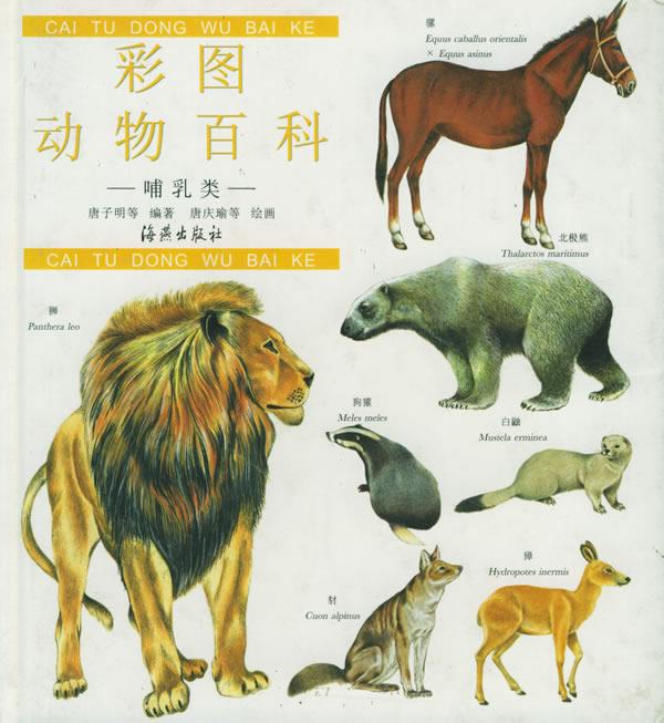 彩图动物百科:哺乳类