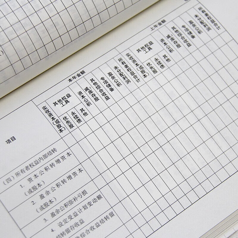 会计、出纳、做账、纳税申报 财务岗位实用手册