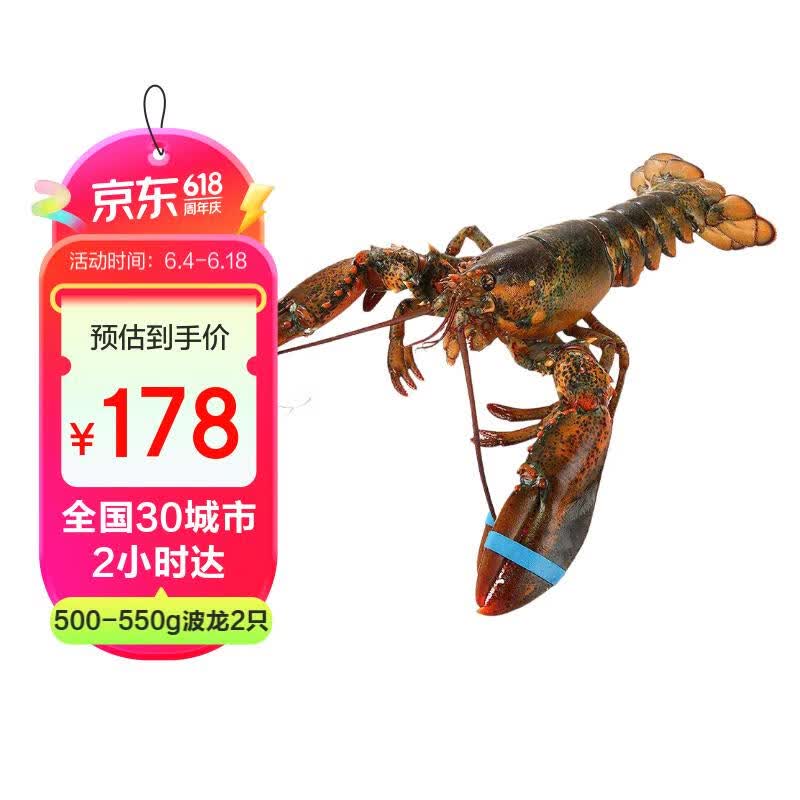 喵和渔鲜活 波士顿大龙虾 波龙加拿大进口虾类活虾大龙虾海鲜大虾 500